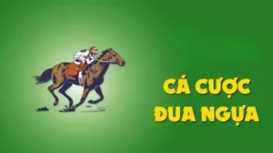 Hướng Dẫn Cá Cược Đua Ngựa Dola789 Chi Tiết Dành Cho Tân Thủ