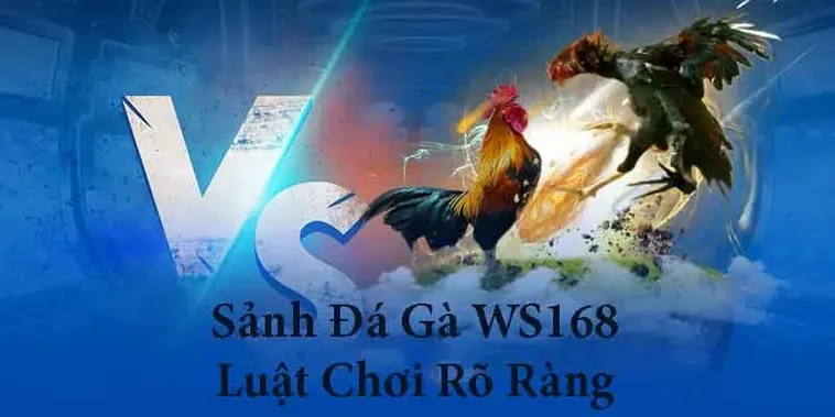 Chơi Đá Gà WS168 Tại Dola789 Cực Kỳ Đơn Giản Dành Cho Game Thủ