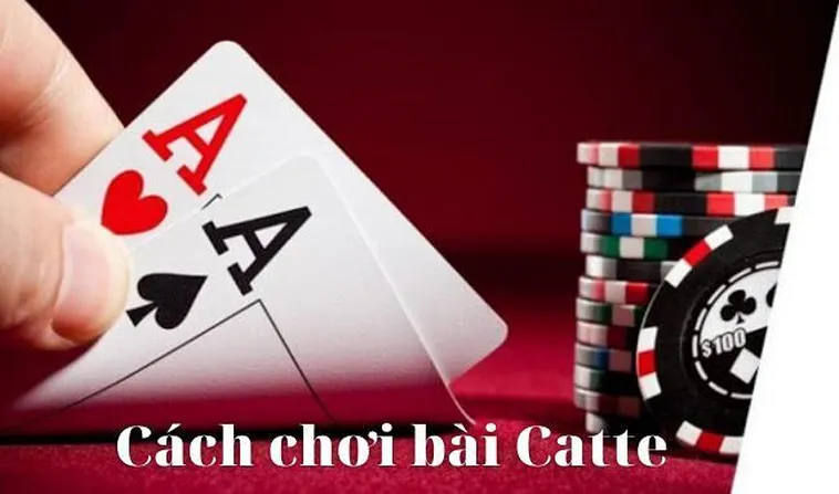 Bí Quyết Chơi Sắc Tê Nhà Cái Dola789 Đánh Bại Mọi Đối Thủ Sừng Sỏ